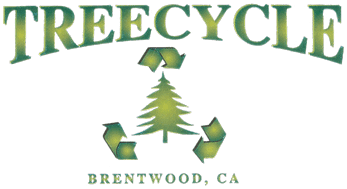 Treecycle